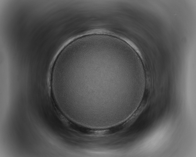 X0000094821438200711161519