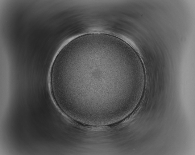 X0000094821440200711161519