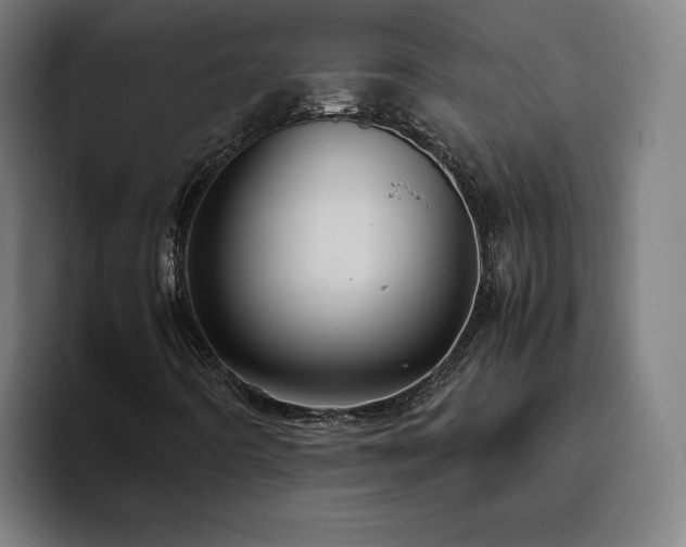 X0000094821442200711161518