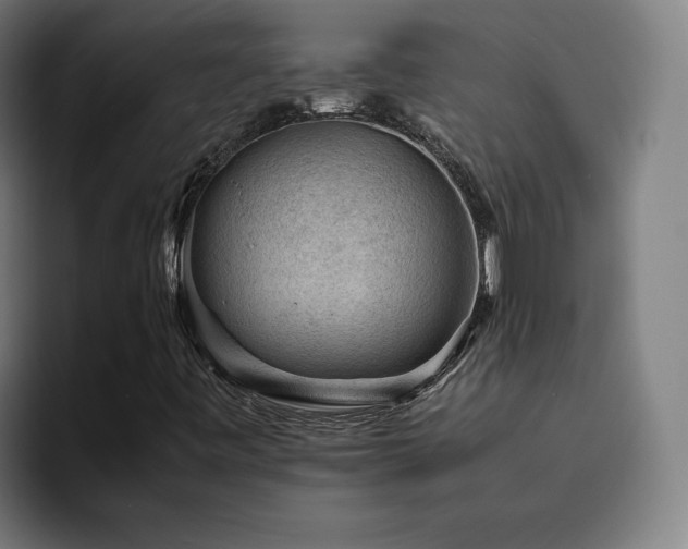 X0000094821443200711161518