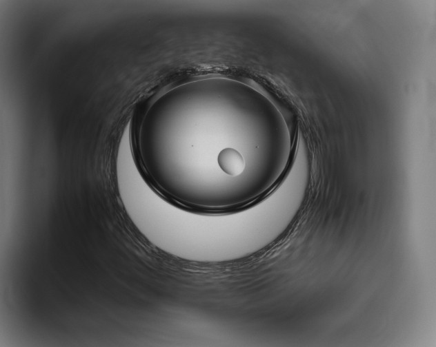 X0000094821444200711161518