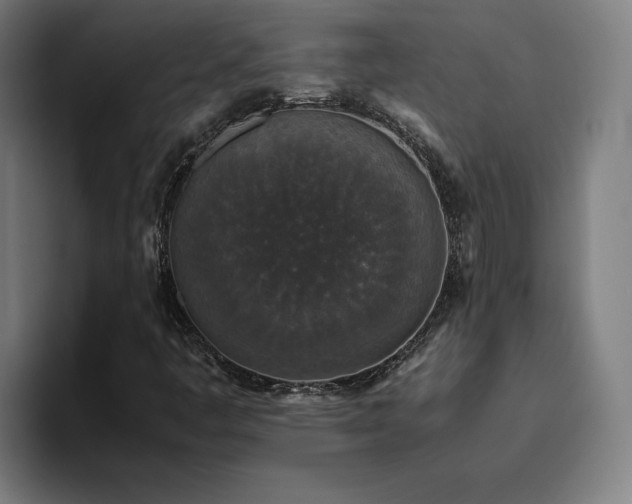 X0000094821445200711161518