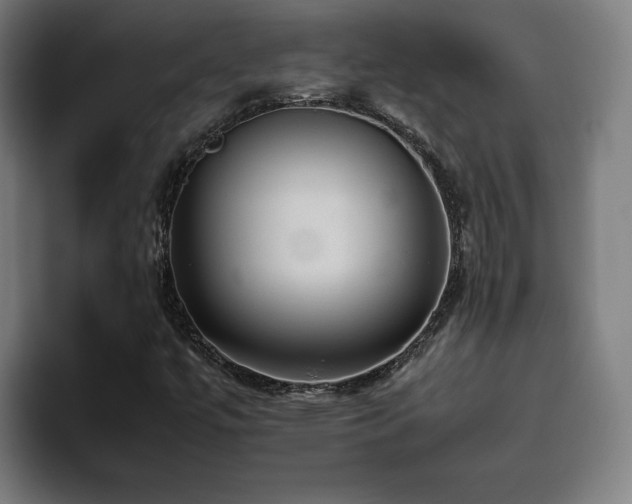 X0000094821447200711161518