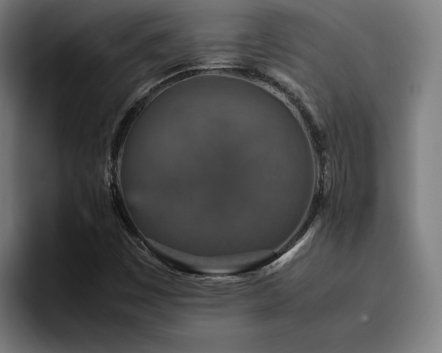 X0000094821449200711161518