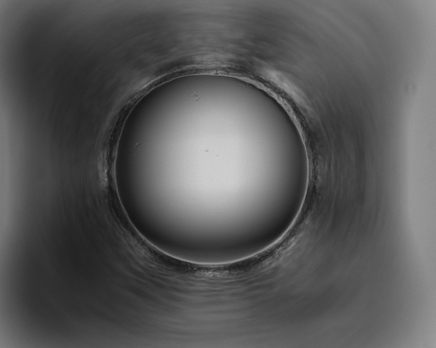 X0000094821451200711161518