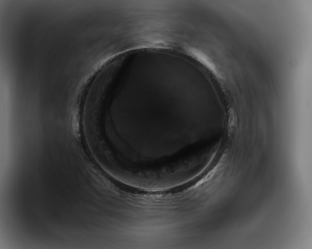 X0000094821455200711161518