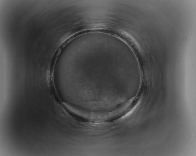 X0000094821457200711161518