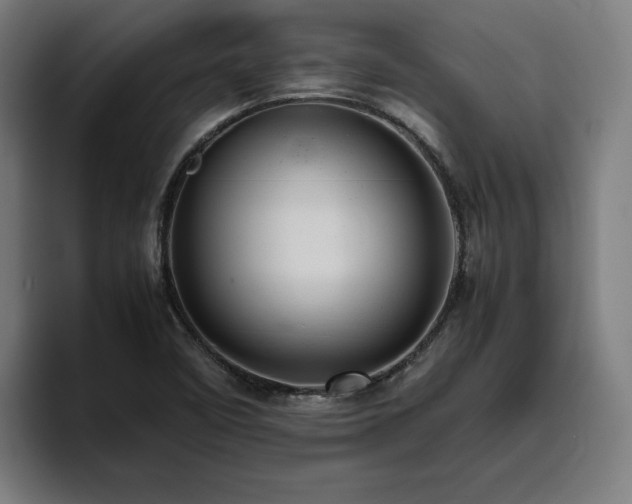 X0000094821458200711161518