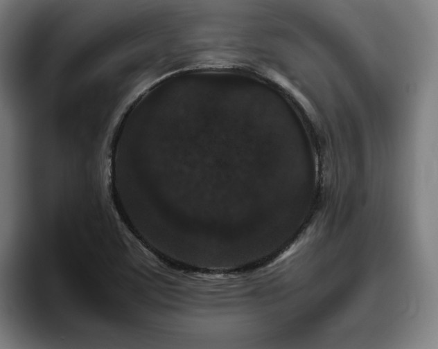 X0000094821459200711161518