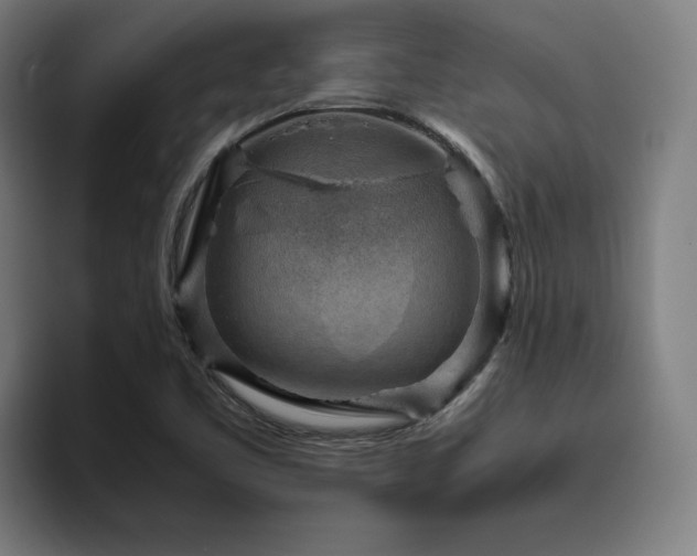 X0000094821461200711161518