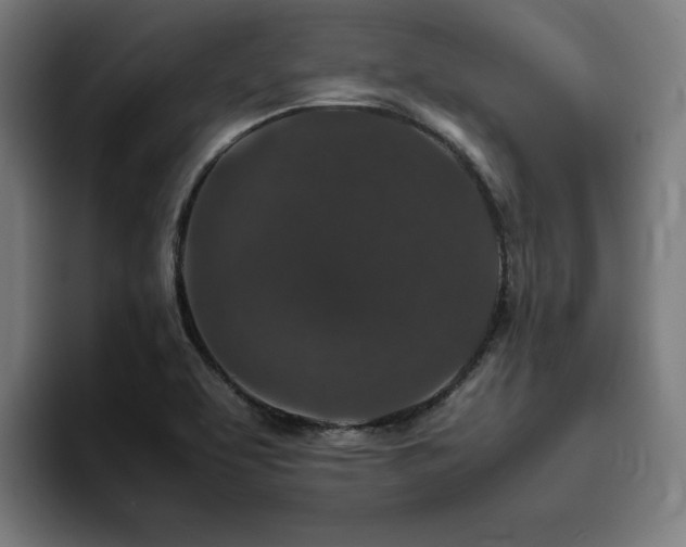 X0000094821463200711161518