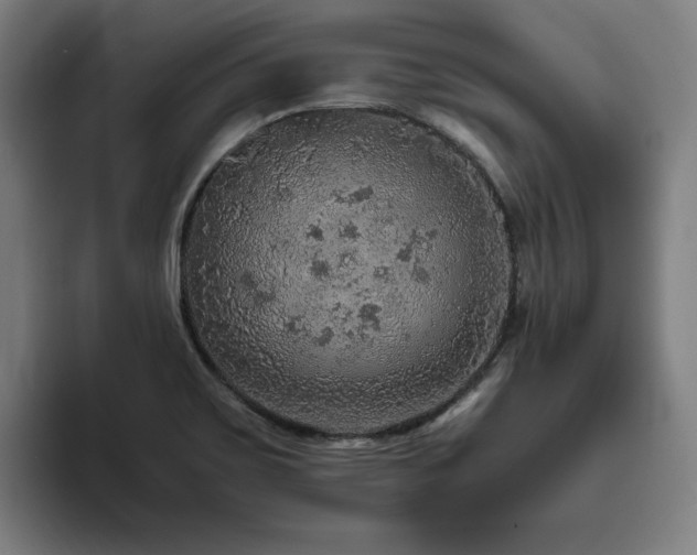 X0000094821467200711161518