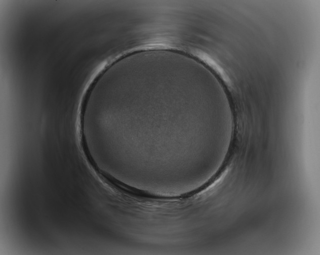 X0000094821469200711161518