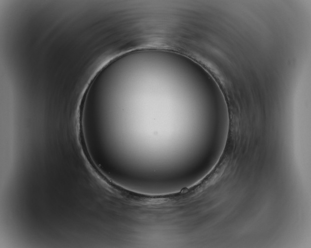 X0000094821479200711161518