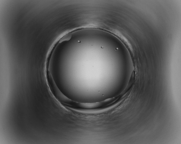 X0000094821480200711161518