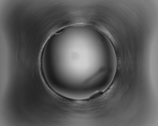 X0000094821483200711161518