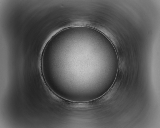 X0000094821486200711161518