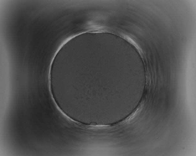 X0000094821487200711161518