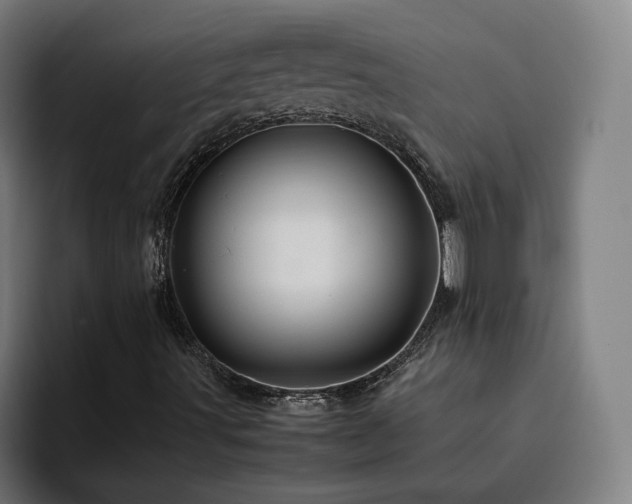 X0000094821491200711161517