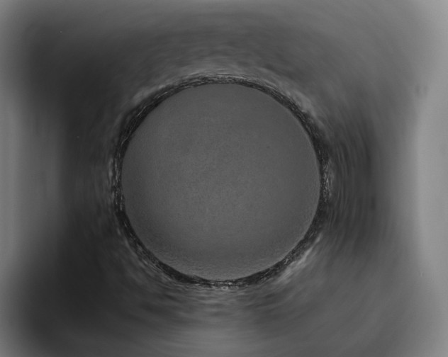 X0000094821494200711161517
