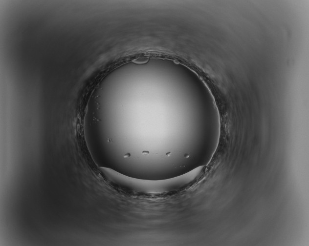 X0000094821495200711161517
