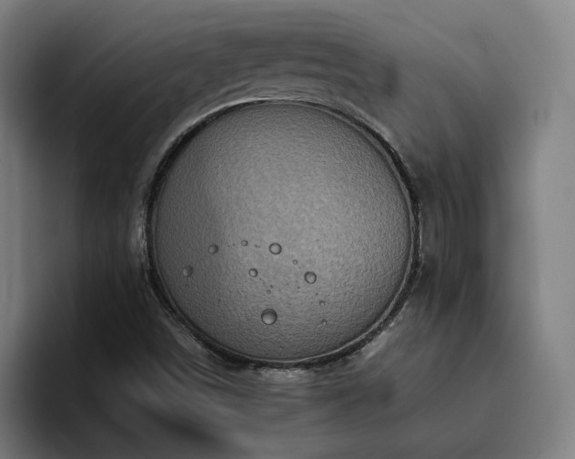 X0000094821498200711161517