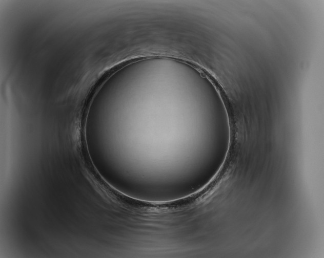X0000094821499200711161517