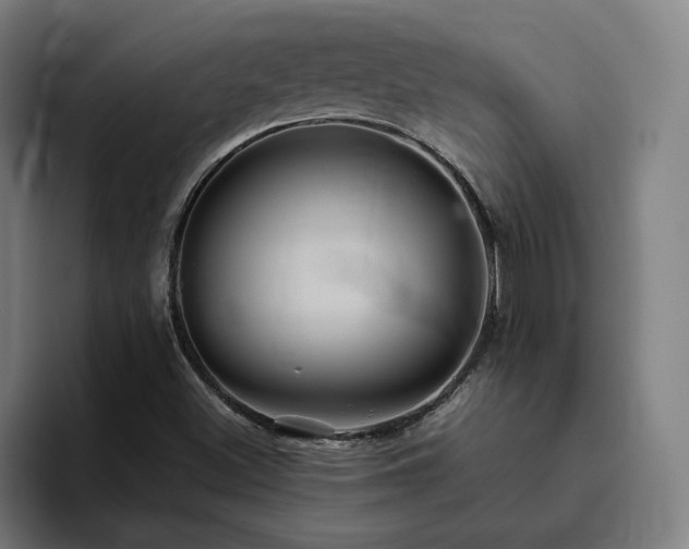 X0000094821500200711161517