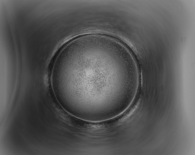X0000094821501200711161517