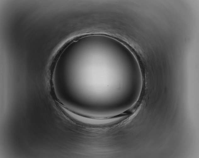 X0000094821502200711161517