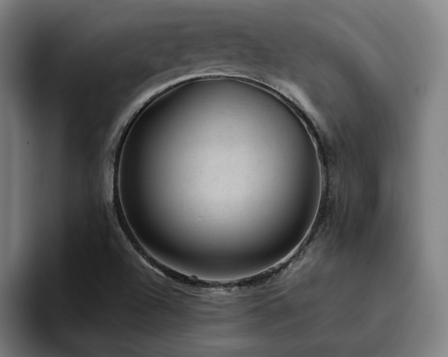 X0000094821504200711161517
