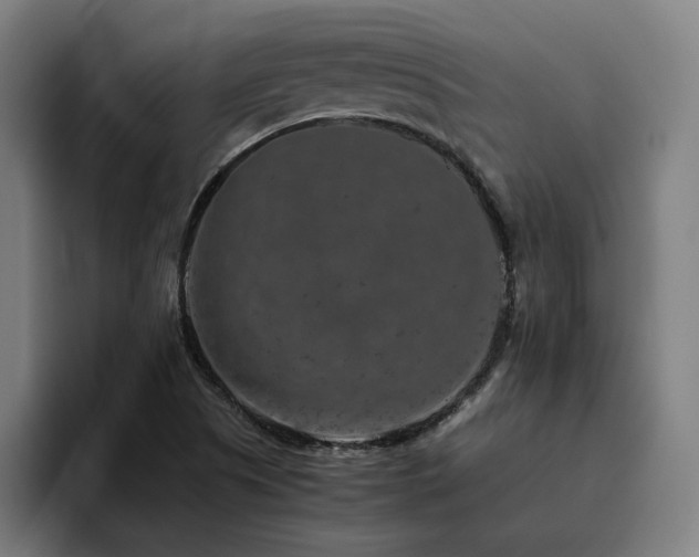 X0000094821505200711161517