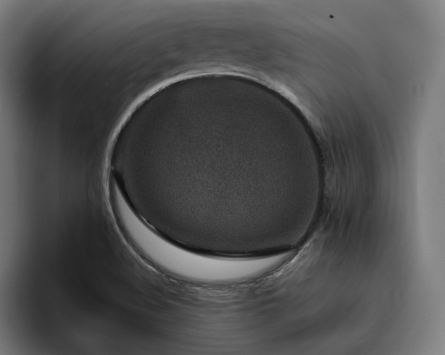 X0000094821508200711161517