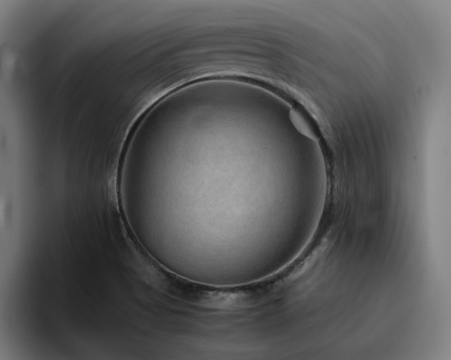 X0000094821513200711161517
