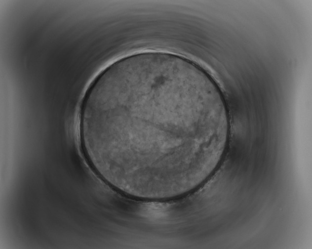 X0000094821514200711161517