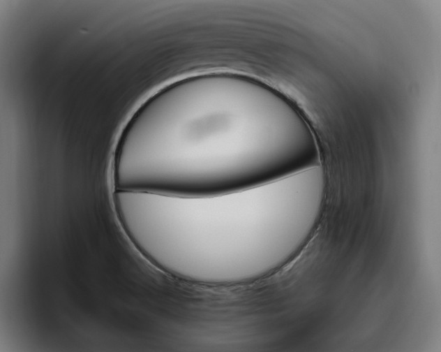 X0000094821516200711161517