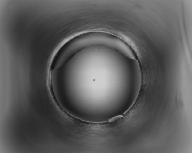X0000094821520200711161517