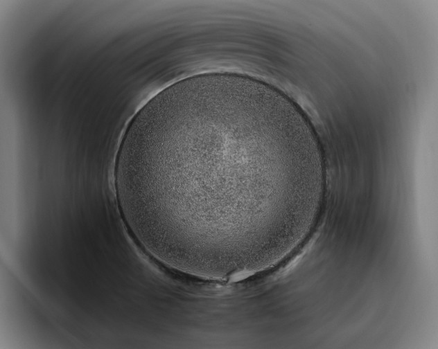 X0000094821521200711161517
