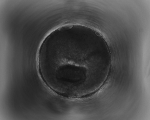 X0000094821522200711161517