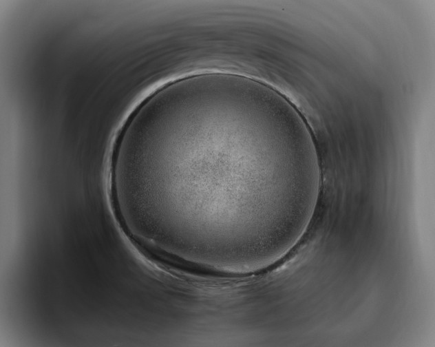 X0000094821523200711161517