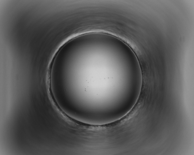 X0000094821526200711161517
