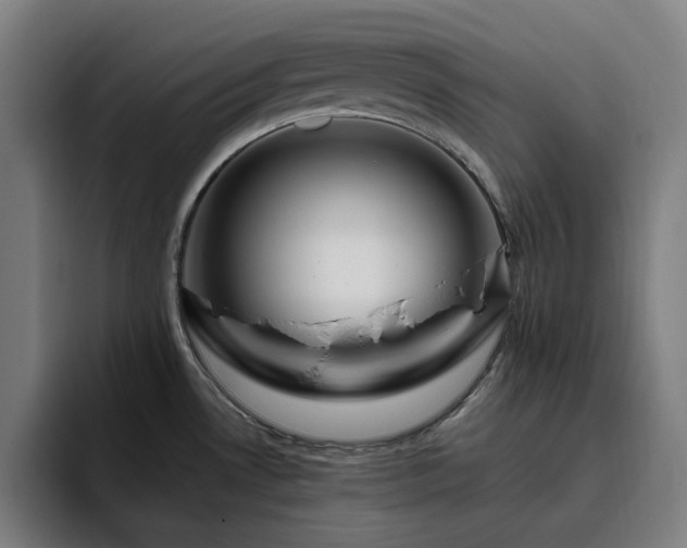 X0000094821530200711161517