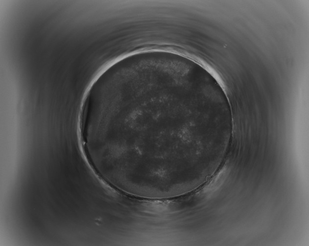 X0000094821533200711161517