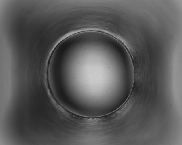 X0000094821534200711161517