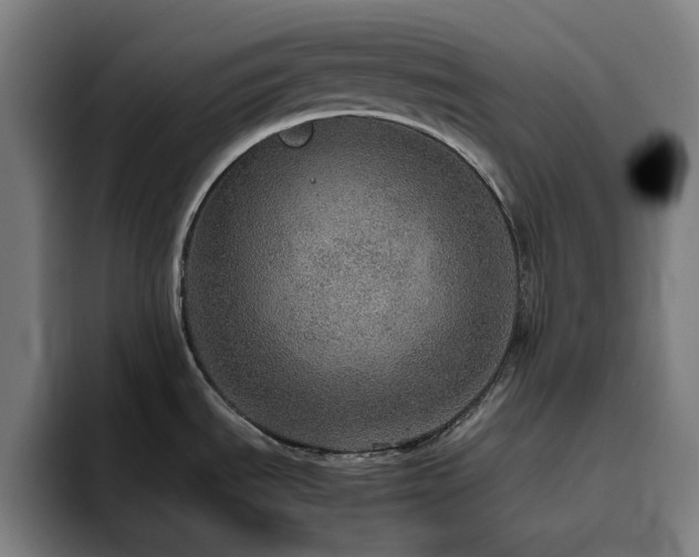 X0000094821535200711161517