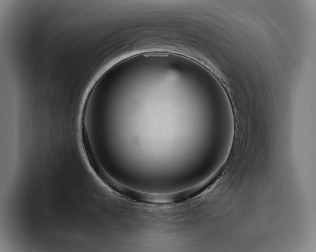 X0000094821536200711161518