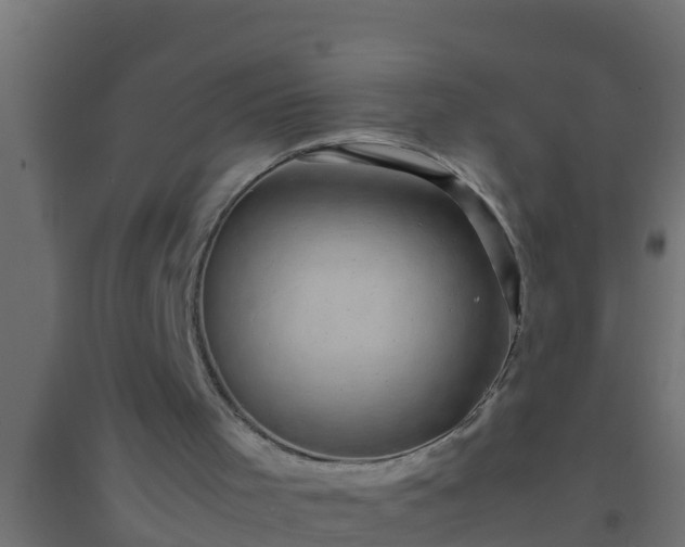 X0000094820001200711241518