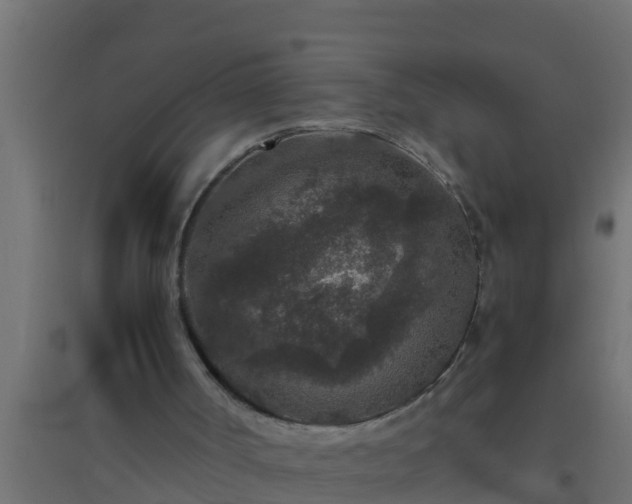 X0000094820002200711241518