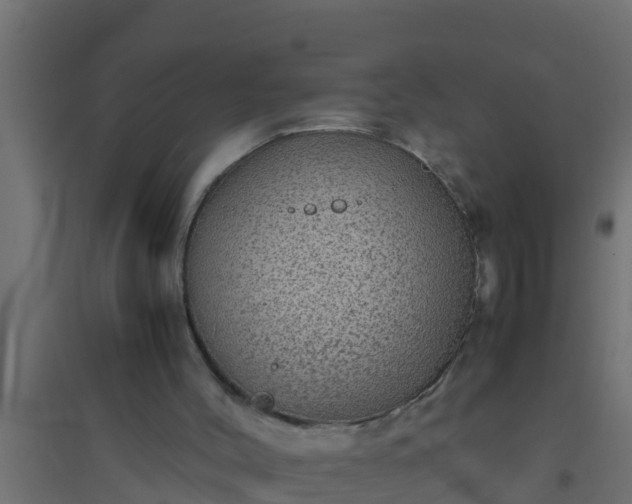 X0000094820004200711241518