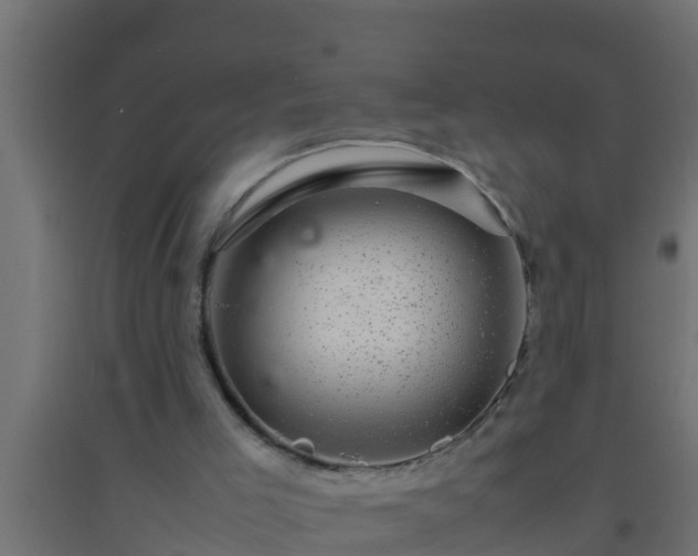X0000094820005200711241518